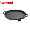IWATANI イワタニ ステーキ鉄板プレート(鉄鋳物製) CB-A-STP 鉄板 カセットコンロ用 アウトドア キャンプ IWATANI専用 プレート ブラッ...