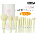 日本限定透明高級感 開店限定価格 送料無料 【メイクアドバイザー監修】メイクブラシ 11本セット ケース メイクブラシセット 化粧ポーチ メイクポーチ 高級繊維...