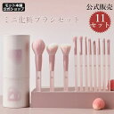 日本限定色貴族ピンク 開店限定価格 送料無料 【メイクアドバイザー監修】メイクブラシ 11本セット ケース メイクブラシセット 化粧ポーチ メイクポーチ 高級繊...