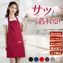 エプロン おしゃれ 保育士 大きいサイズ カフェエプロン かわいい レディース メンズ ワンピース 撥水 ロング丈 無地 防水 送料無料 母の日 プレゼント か...