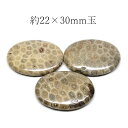 天然石 アメリカ産 フォッシルコーラル オーバル型 約22×30mm玉※通し穴あり ビーズ バラ売り 1粒売り 手作りレディース メンズ 勝負 恋愛パワーストー...