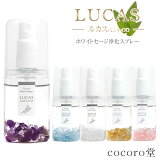 ͥݥ̵ ۥ磻ȥ ץ졼 륫 LUCAS 20ml ץ졼 ŷʬ100%    襬 롼 ץ졼 ޥץ졼 ե쥰 ޥץ졼  ŷ ѥȡ  ֥쥹å 徽 ȥ ץ쥼