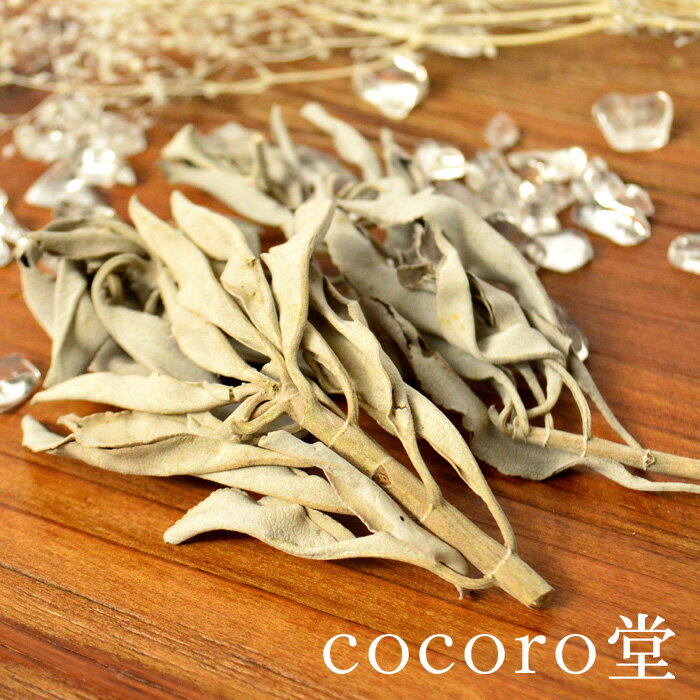 天然石 パワーストーン 無農薬 ホワイト セージ 置き物 内容:約10g×3袋 レディース メンズ 勝負 恋愛 ギフト プレゼント 贈り物 男性 女性 男 女 ...