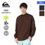 QUIKSILVER クイックシルバー メンズ 長袖 ラッシュガード Tシャツ QLY232031 プール UVカット ラッシュTシャツ UPF50+ ティーシャツ ビーチ 水着 海水浴 男性用