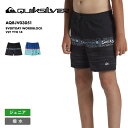 QUIKSILVER/クイックシルバー キッズ ボードショーツ EVERYDAY WORDBLOCK VLY YTH 14 AQBJV03051 サーフパンツ スイムウェア スイムパンツ 海パン アウトドア ジュニア 子供用 こども用 男の子用 女の子用(4)