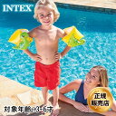 全品10%OFF券配布中 INTEX/インテックス アームフロート ダイナソーアームバンド 56664 アームヘルパー 浮き 幼児用 ビーチ 海水浴 プール