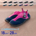 (取寄) サロモン レディース テカンピビアン 5 ウォーター シューズ - ウィメンズ Salomon women Techamphibian 5 Water Shoe - Women's Laurel Wreath Arctic Ice Marine Blue