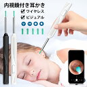 耳かき カメラ LED 無線 耳掃除 耳鏡ワイヤレス付き スマート耳かき 見える耳かき ライト 介護耳かき プレゼント ギフト 送料無料