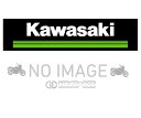 Kawasaki カワサキ 純正 Ninja 1000SX パニアケースストライプ(左右セット) J99994-0423-60R(エメラルドブレイズドグリーン)