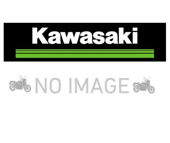 Kawasaki カワサキ パニアケースカバー(左右セット) Kawasaki Ninja H2 SX SE+/Ninja H2 SX SE J99994-0422-60RB エメラルドブレイズドグリーン
