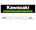 Kawasaki カワサキ パニアケースカバー(左右セット) Kawasaki Ninja H2 SX SE+/Ninja H2 SX SE J99994-0422-60RB エメラルドブレイズドグリーン