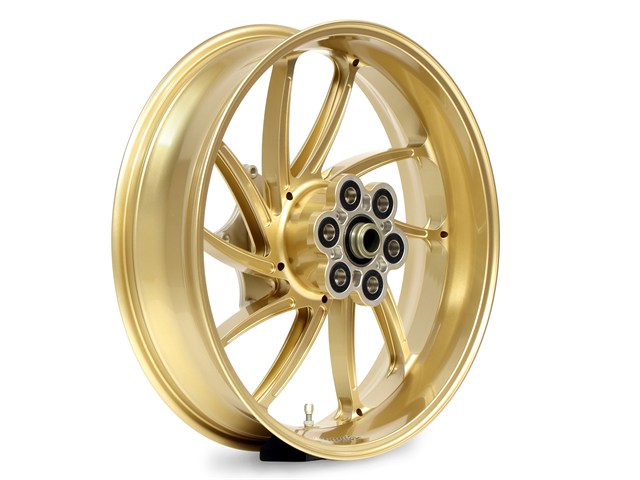 GALE SPEED アクティブ R 550-17 GLD [TYPE-SB1 Gコート] ZEPHYR750/750RS 29275109Q