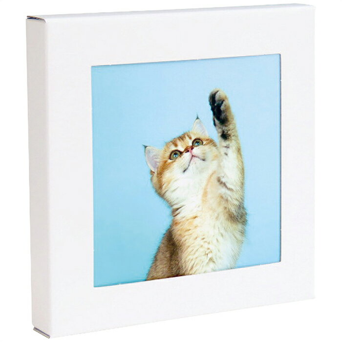 【記念品・景品用】 まいにち 壁に飾る防災トイレ処理セット(5回分) アートトワレ ねこ ATW-5 003（ねこ）