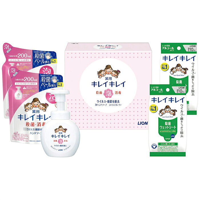 ライオン キレイキレイ薬用泡ハンドソープセット LBB-D LBB-D