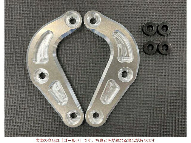 メーカー取寄せ BEET ビート スポーツリンクプレートKIT(GD)ZX-4R 0610-KH8-10