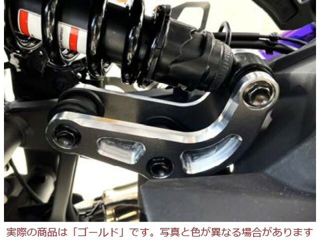 メーカー取寄せ BEET ビート スポーツリンクプレートKIT(GD)ZX-4R 0610-KH8-10