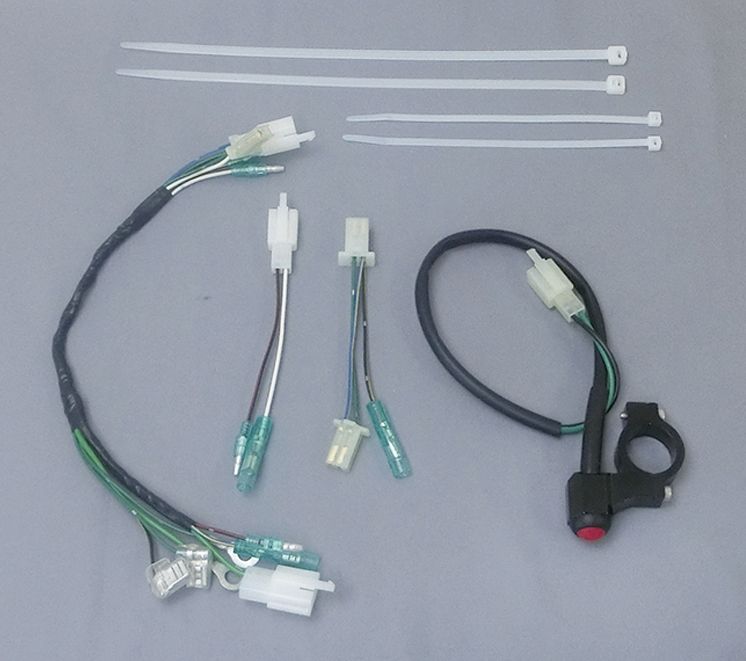 CF POSH シーエフポッシュ レーシングSPハーネスKIT、プッシュタイプキルスイッチ付 HONDA ホンダ NSR50 (-94) 220216