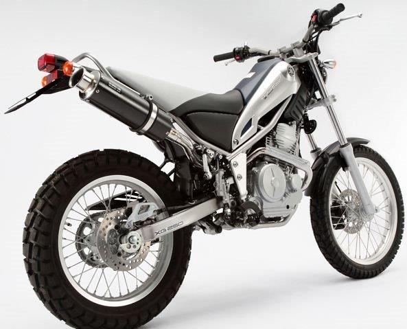 BEAMS ビームス マフラー フルエキゾースト SS300カーボン アップタイプ S/O TRICKER Fi 2008~ B223-08-004