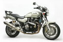 【抽選で最大100%ポイントバック】ACTIVE アクティブ サブフレーム バフ XJR1200 -97/1300 -15 1113016P