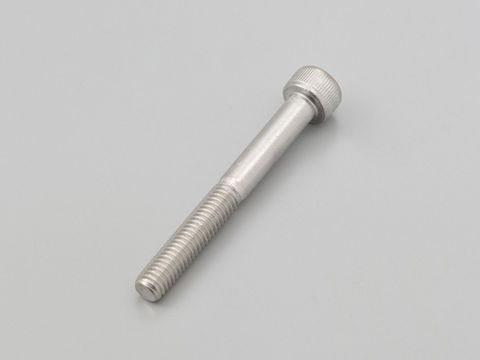 Ǻ100ݥȥХåۺ߸ͭ DAYTONA ǥȥ 2¦/ååѡåץ塼 650mm(ƥ쥹)