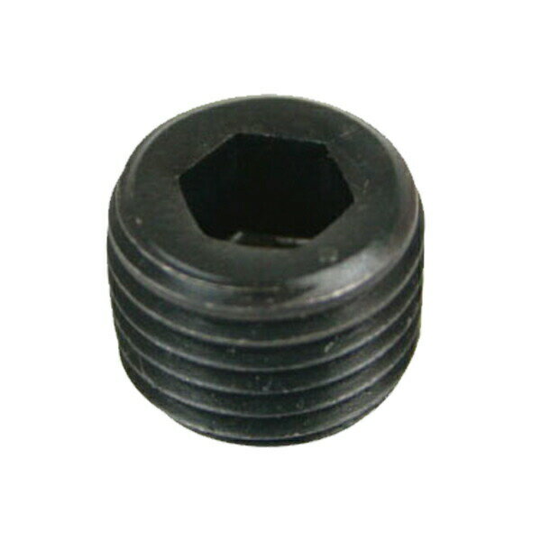 GOODS グッズ タンク、コックの穴を塞ぐボルト　1/4NPT プラグボルト G2-00031