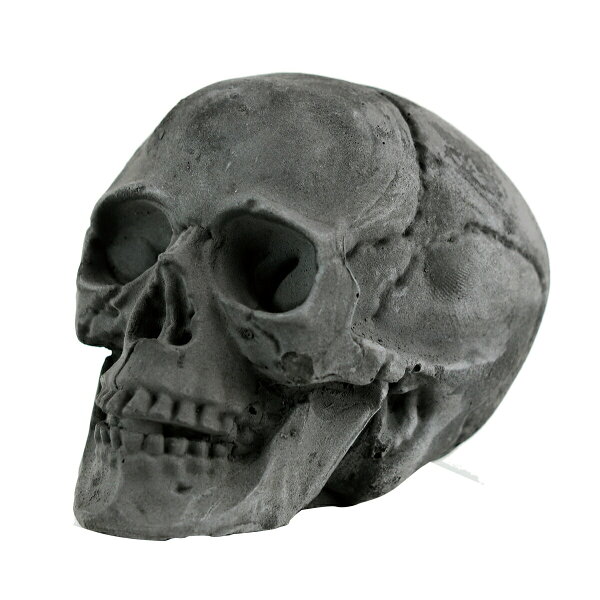 OCC netshopのGOODS グッズ BBQ アウトドア 焚き火 BURNING SKULL スカルヘッド炭 XLサイズ GA-00250|詳細画像