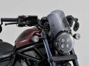 GIVI ジビ DAYTONA デイトナ エアロダイナミックススクリーン 車種:Kaawasaki ZRX1100/1200用 D174S DSシリーズ KAWASAKI カワサキ 93967