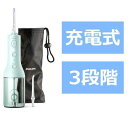 【抽選で最大100%ポイントバック】フィリップス PHILIPS 口腔洗浄器 ソニッケアー コードレスパワーフロッサー3000 ハンディタイプ /国内・海外兼用...