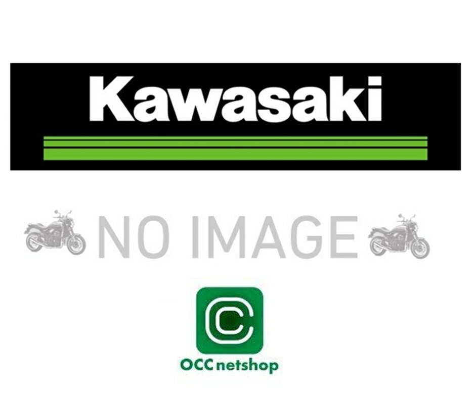 KAWASAKI JTL ZX1002RPFNN 23/jW H2 SX tg[V[g LOW v~A ubN{O[ 99994-1598-49L