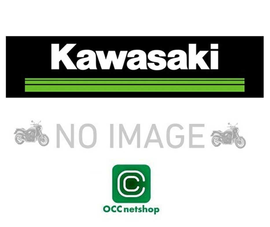 KAWASAKI カワサキ純正 KL650FPFNL 23/KLR650 サイドケース 99994-1866
