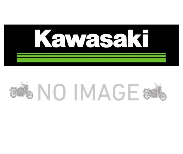 Kawasaki カワサキ 純正オプション トップケースブラケット Z 650 99994-0799