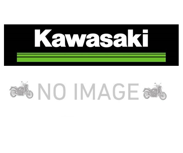 Kawasaki カワサキ 純正 Ninja 1000SX パニアケース用ワンキーシステム J99994-0407-1000SX