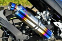 【抽選で最大100%ポイントバック】BEAMS ビームス R-EVO ヒートチタンサイレンサー 政府認証 車種:SUZUKI GIXER SF250 G344-53-S1J(2)