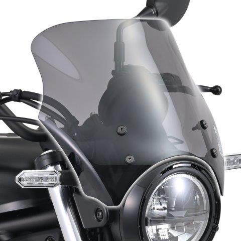 �߸�ͭ�� DAYTONA �ǥ��ȥ� �֥饹�ȥХꥢ�� �����꡼�� KAWASAKI ���掠�� ����ߥ͡�����(24) ���⡼�� 42156