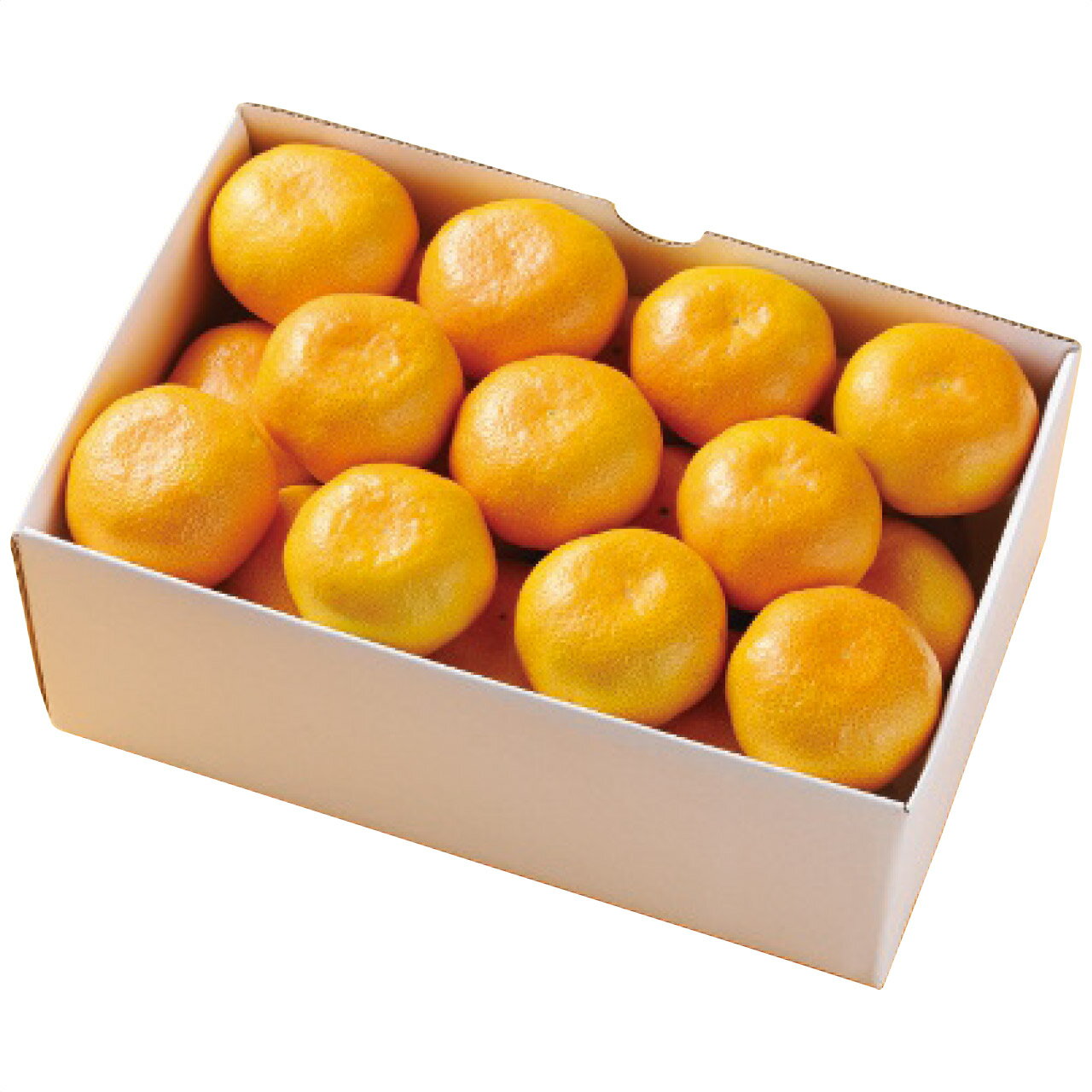 【ギフト】 お歳暮 愛媛県産 みかん約2kg フルーツワールド(4)