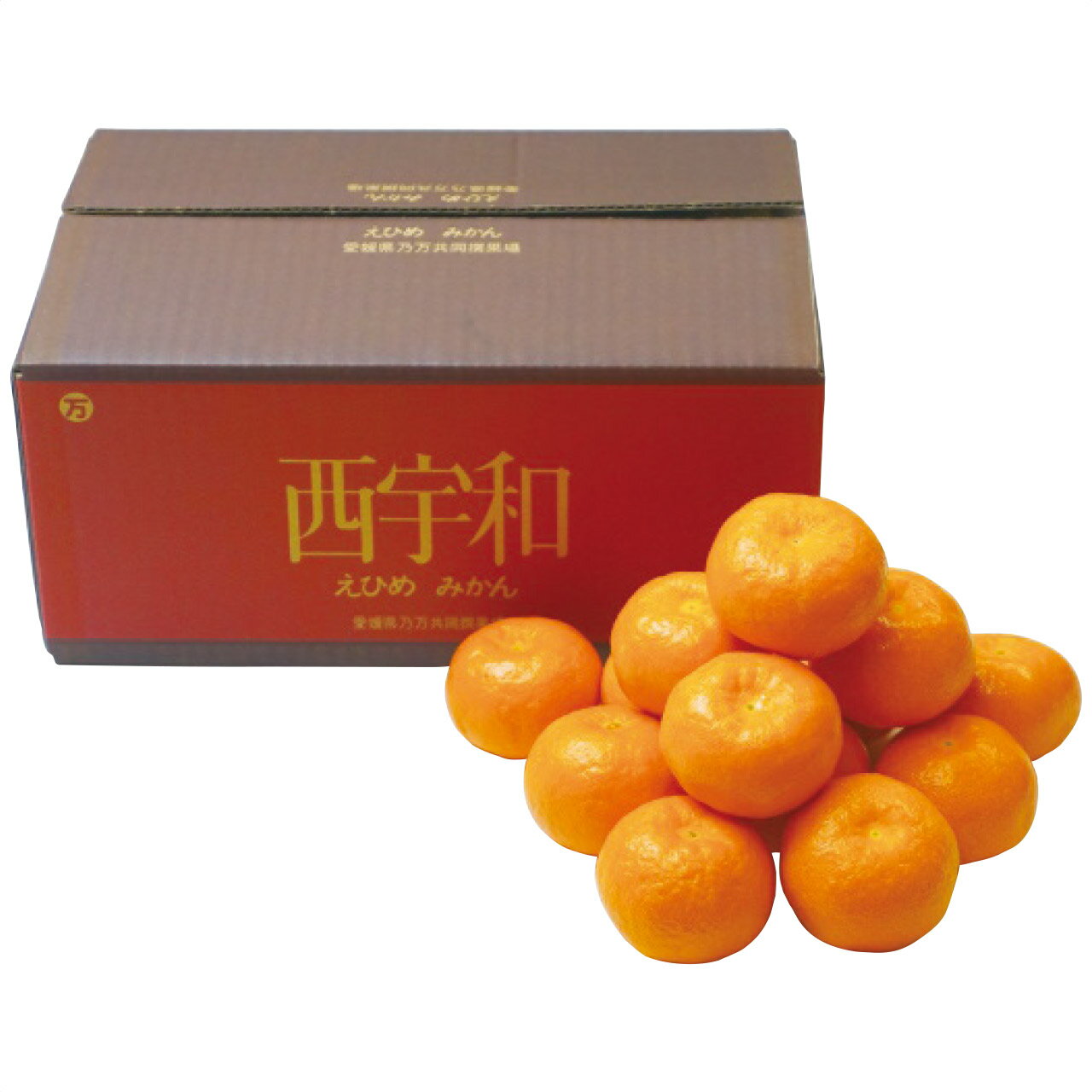 【ギフト】 お歳暮 愛媛県産 みかん約3kg 大阪南部合同青果(4)