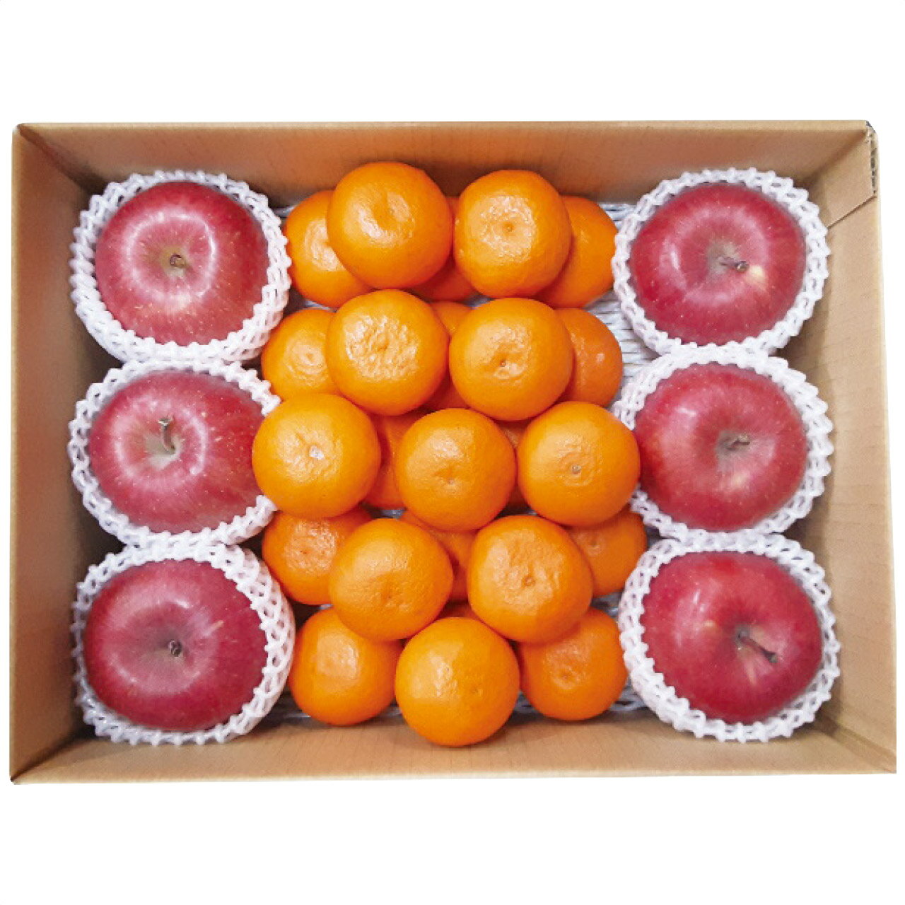 【ギフト】 お歳暮 和歌山県産 みかん&青森県産 サンふじりんごセット マルマン