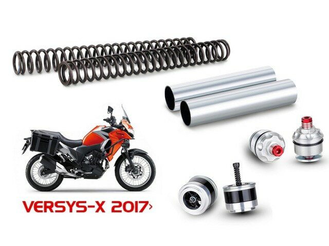 【受注後約3ヶ月】 PMC ピーエムシー VERSYS-X 300 '17-'19 FORK UPGRADE 123-01001