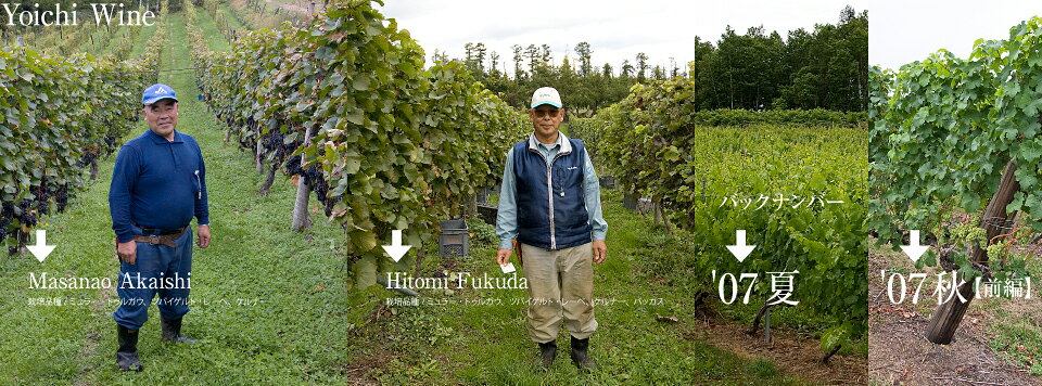 �ڥݥ����ͭ��;�ԥ磻���î�ϥĥХ�����ȥ졼�١ס��֡աڽŸ���720ml����2019ǯ��2020ǯ