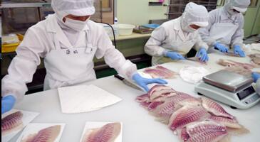 ���ܸ�����ŷ���ܿ������䡡���ե��졼 2�� (��800g)