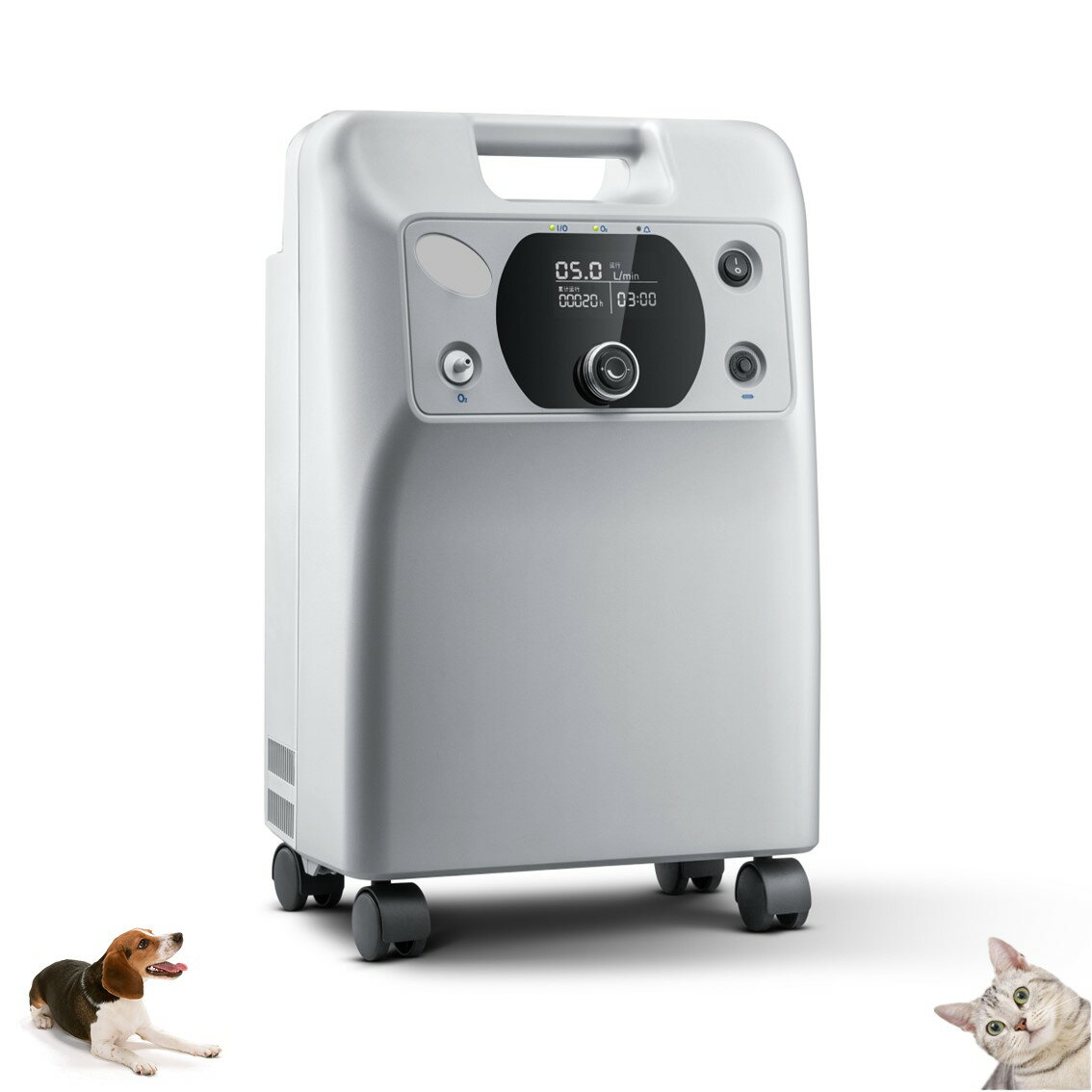 �ڸ��ꡪ��P5�ܡ����ۡ�����̵���ۥڥå��ѻ��� ���ܹ���᡼���� �¿�1ǯ�ݾ� 100V ��ǻ�ٻ���ǻ�̴� ��ưʪ ���� �淿 �緿�ڥå��� ����ǽ ����ȯ���� �ڥåȲ�� �ڥåȺ��𥱥� �ڥåȸ���