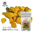 オーシーファーム 国産原料使用! Nagaiki フリーズドライ国産かぼちゃ 10g 〈原産国:日本〉【犬 おやつ】