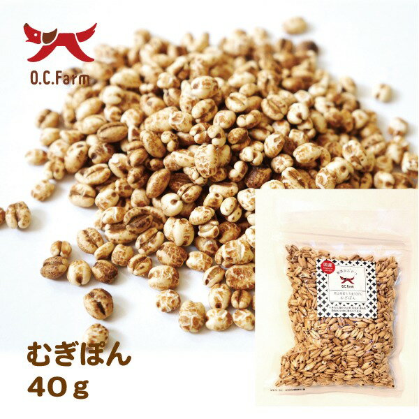 国産のもち麦使用！むぎぽん40g　〈原産国：日本〉　無添加オーシーファーム【犬 おやつ 犬のおやつ 犬..