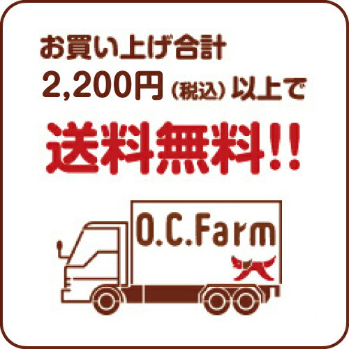 オーシーファーム　国産の原料使用！　「牛皮ガム100本」　S　〈原産国：日本〉　無添加　徳用　（素材ジャンル：ガム系）【犬　おやつ】【ドッグフード】