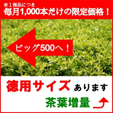 【メール便可】宇治抹茶100g【お茶】【粉】【粉末】【粉末茶】【粉末緑茶】【抹茶ラテ】【宇治】【製菓用】【冷茶】【水出し】