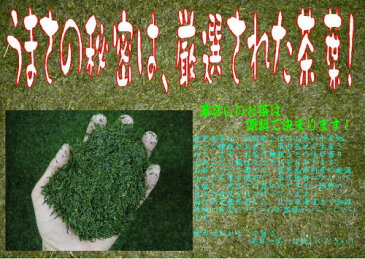 お茶 茶 深むし茶 深蒸し茶 送料無料 お茶のぶどう園 深むし茶 特上 100g×3本 セット 深むし 日本茶 緑茶 鹿児島茶 ギフト プレゼント 贈り物 お歳暮 お中元 土産 煎茶