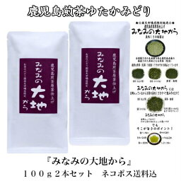 お茶 茶 荒茶 原茶 送料無料 みなみの大地から 100g × 2本 セット ゆたかみどり エピガロカテキン 水出し 低温抽出 マクロファージ 免疫力 日本茶 鹿児島茶 茶葉 煎茶 緑茶 茎茶 芽茶 鹿児島 楽天限定 母の日 父の日 御挨拶 敬老の日 祝敬老