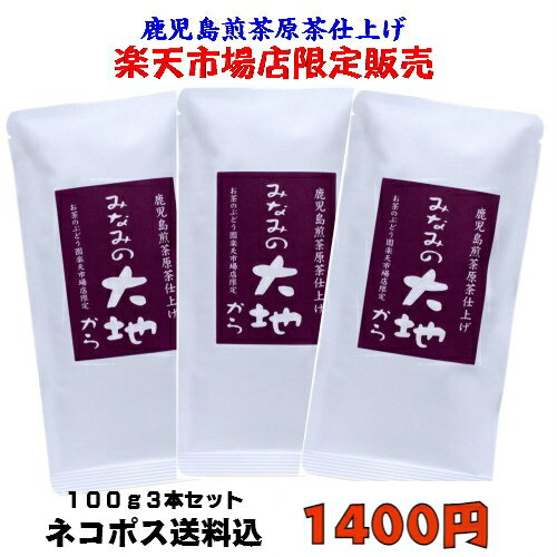 500円OFFクーポン 限定 お徳用 お茶 茶 荒茶 送料無料 みなみの大地から 100g × 3本 セット ゆたかみどり エピガロカテキン 水出し 低温抽出 マクロファージ 免疫力 高機能品種茶 日本茶 鹿児島茶 茶葉 煎茶 緑茶 tea リーフ 茎茶 鹿児島 贈り物 プレゼント 敬老の日 祝敬老