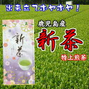 《新茶入荷!》 送料込 新茶 2025年産 鹿児島産 新茶 特上煎茶 100g 鹿児島 鹿児島新茶 お茶 茶 日本茶 お土産 ギフト 母の日 父の日 若葉 新芽 出来立て 春 新緑 旬の香り 令和7年産 ネコポス発送 送料無料