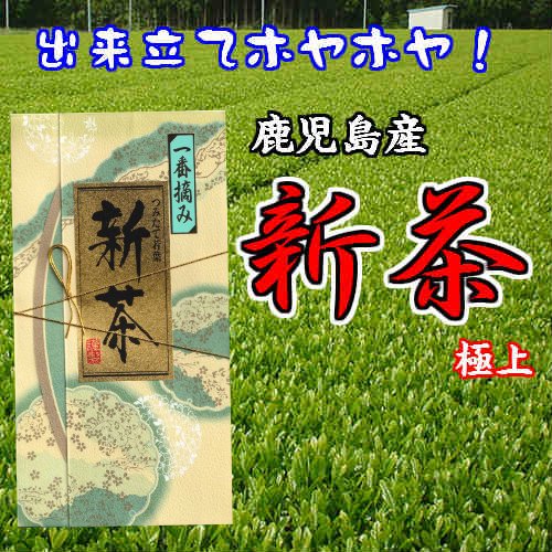 《新茶入荷》 送料込 新茶 2024年産 鹿児島産 新茶 極上 100g 鹿児島 鹿児島新茶 お茶 茶 日本茶 お土産 ギフト 母の日 父の日 若葉 新芽 出来立て 春 新緑 旬の香り 令和6年産 ネコポス発送 送料無料